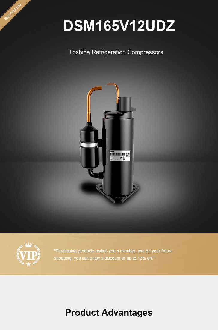 Toshiba Compressor DSM165V12UDZ, technical parameters pdf, structure diagram